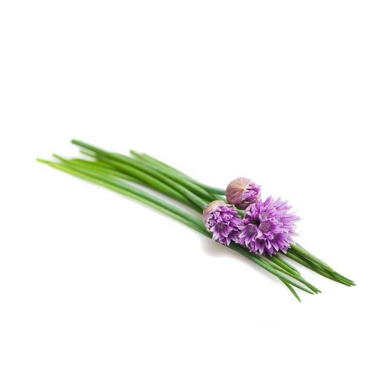 Chives Seed 9914400