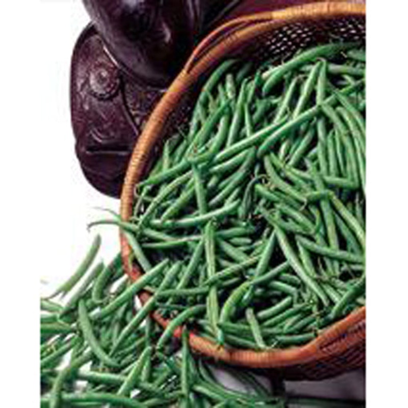 Bronco Green Beans 1/2-lb Seed 9918102
