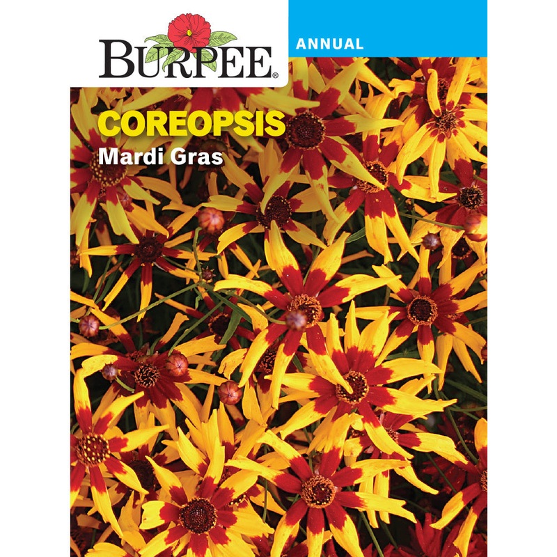 Mardi Gras Coreopsis Flower Seed Pack 46584