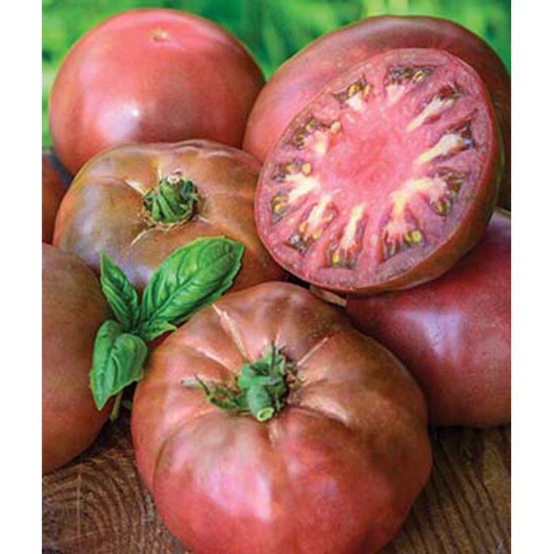 Organic Black Krim Tomato Seed Pack 68530