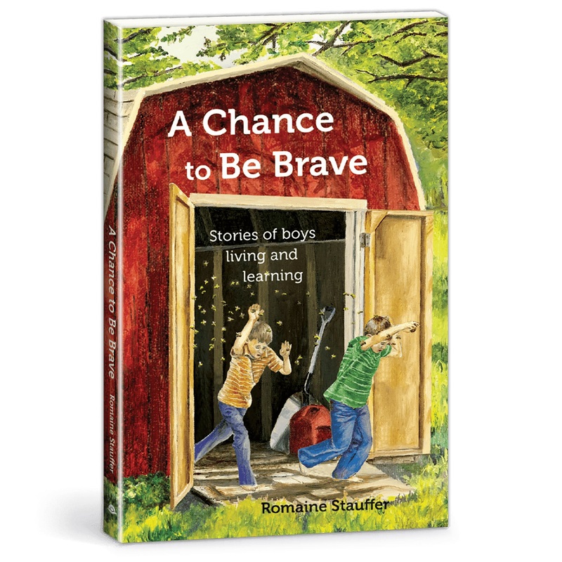 A Chance to Be Brave Book 265525