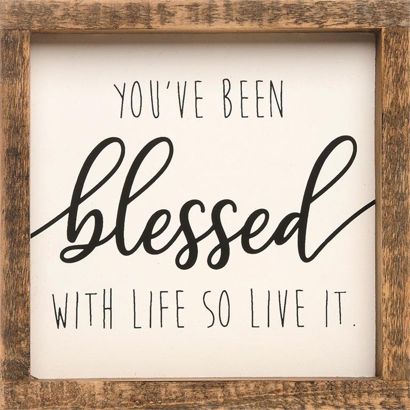 You’ve Been Blessed with Life Framed Sign 221-30229