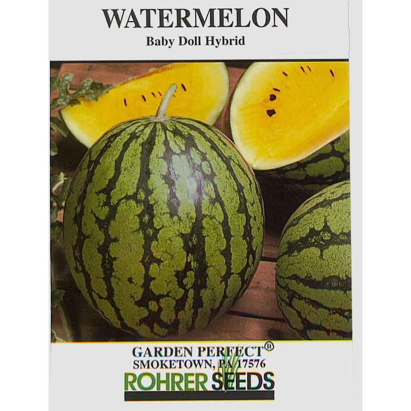 Yellow Baby Doll Watermelon Seed 9912850