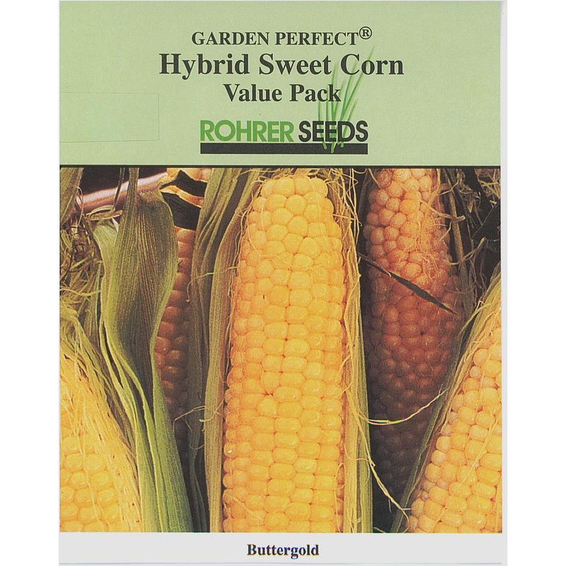 Buttergold Sweet Corn Seed 1/2 lb 9921402