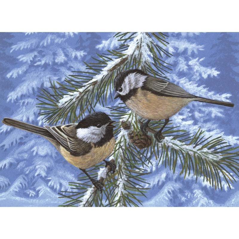 Adult Paint By Numbers Pine Birds PAL33