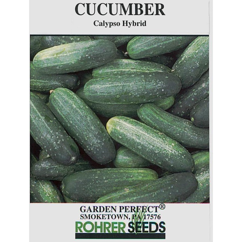 Calypso Hybrid Cucumber Seed Pack 9903700