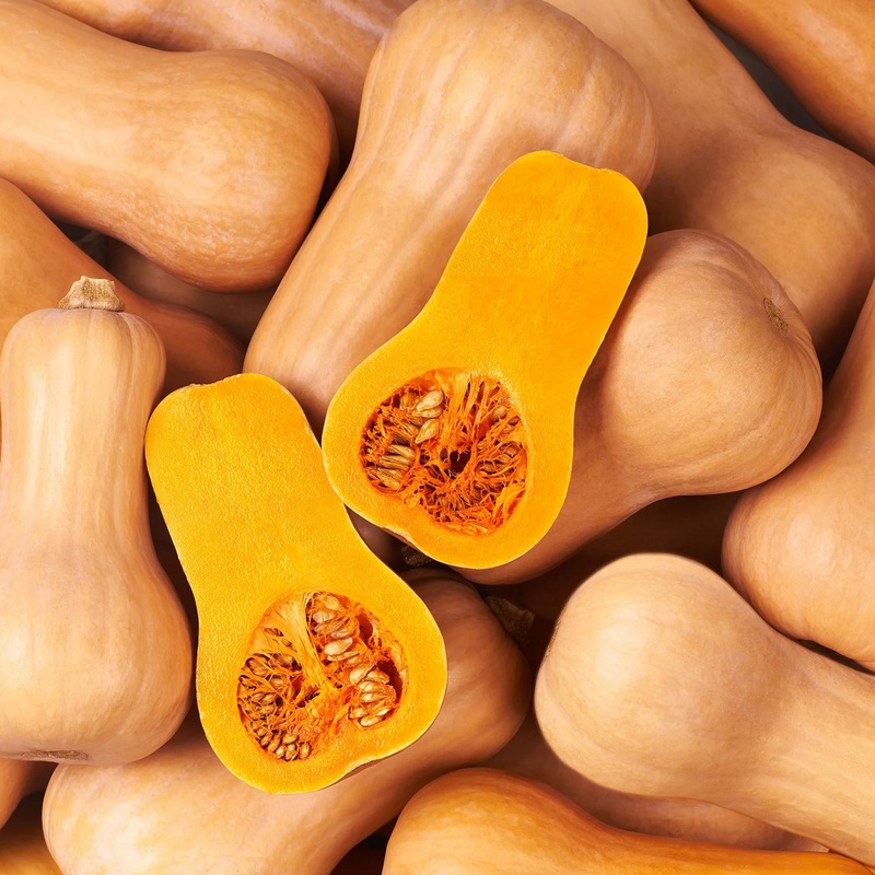 Waltham Butternut Squash Seeds 9910300