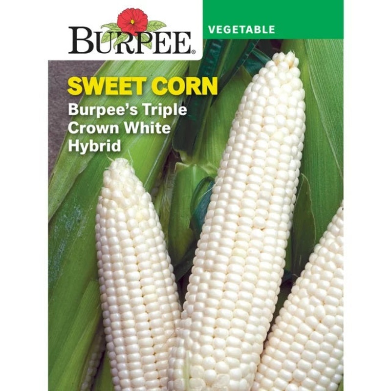 Sweet Corn Burpee’s Triple Crown White Hybrid Seed Pack 65122