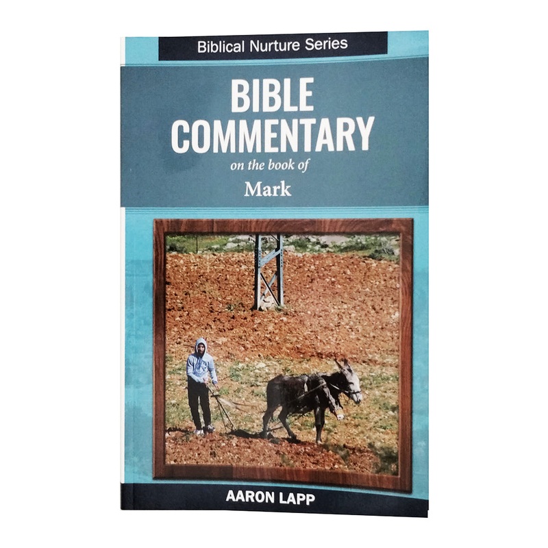 Bible Commentary – Mark 216