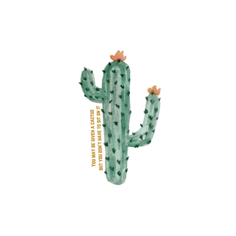 Cactus Sticker S017