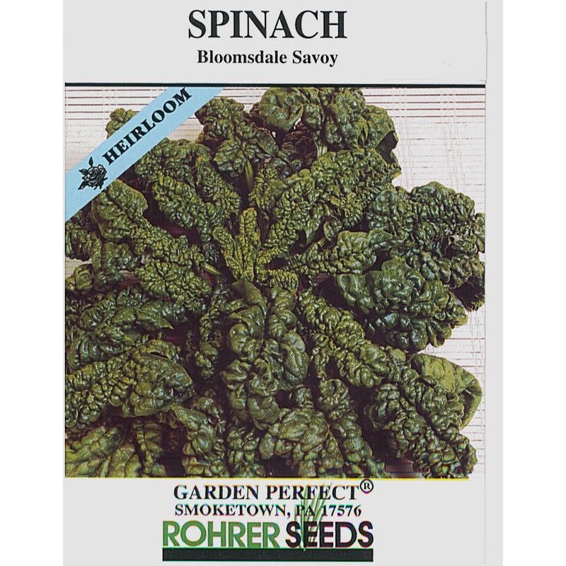 Bloomsdale Spinach Seed 9909800