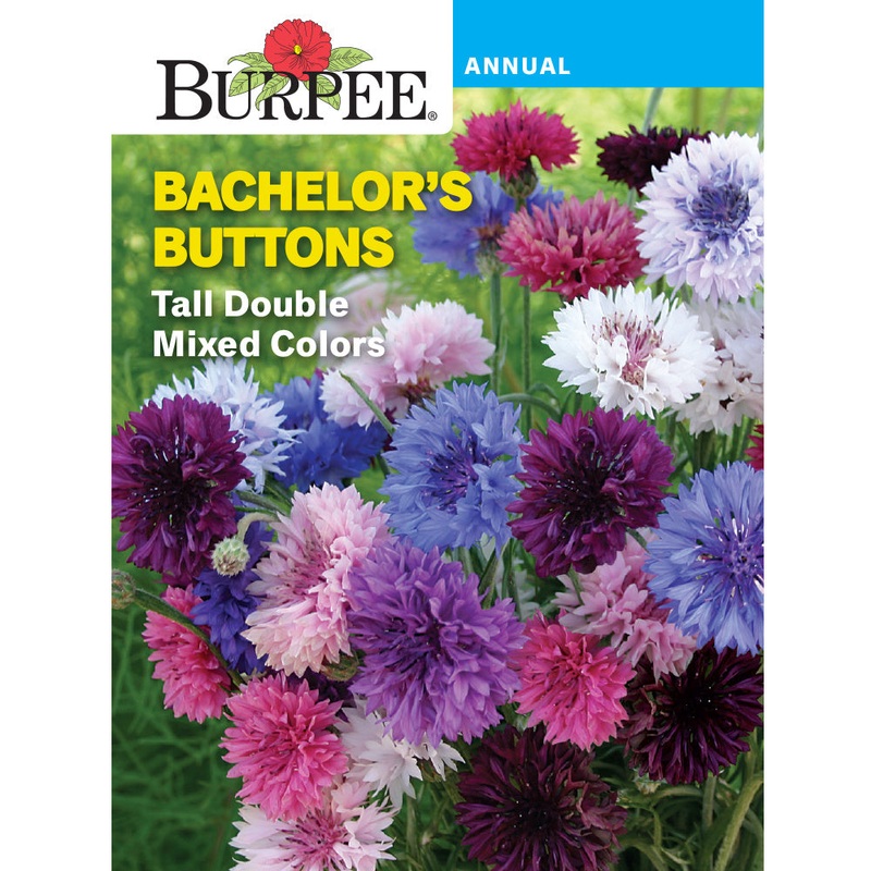 Tall Double Mixed Colors Bachelor’s Buttons Flower Seed Pack 30668