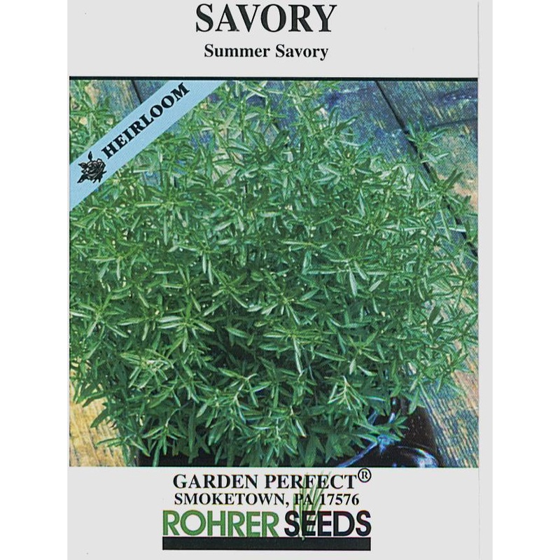 Summer Savory Seeds 9915400