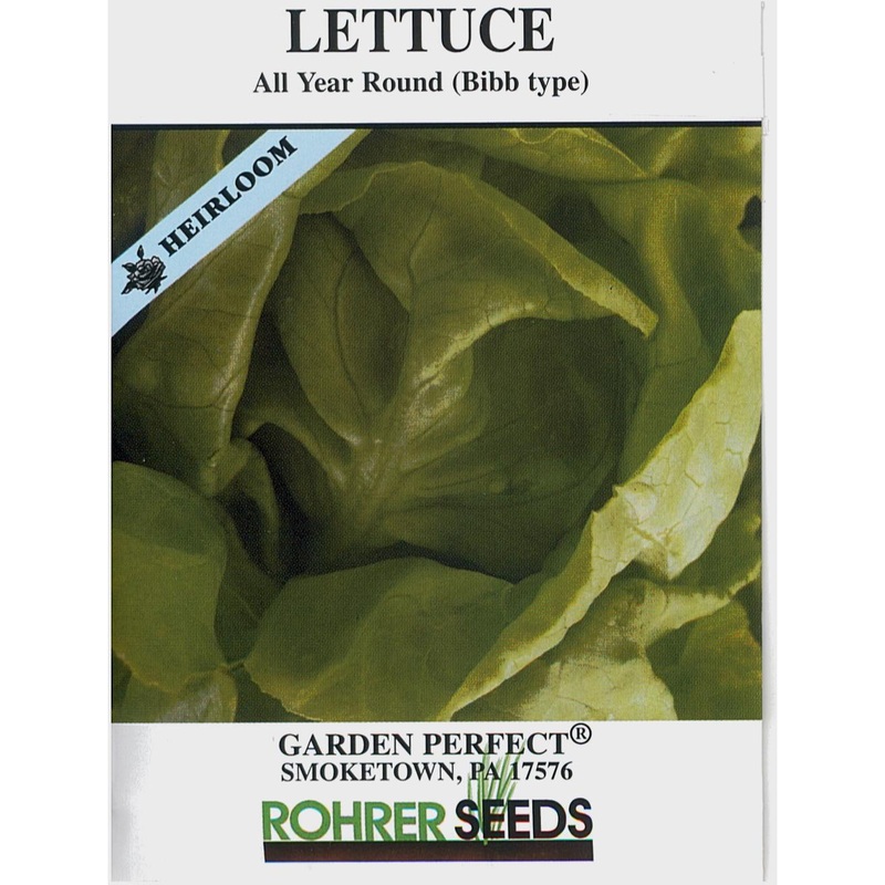All Year Round Bibb Lettuce Seed 9904850
