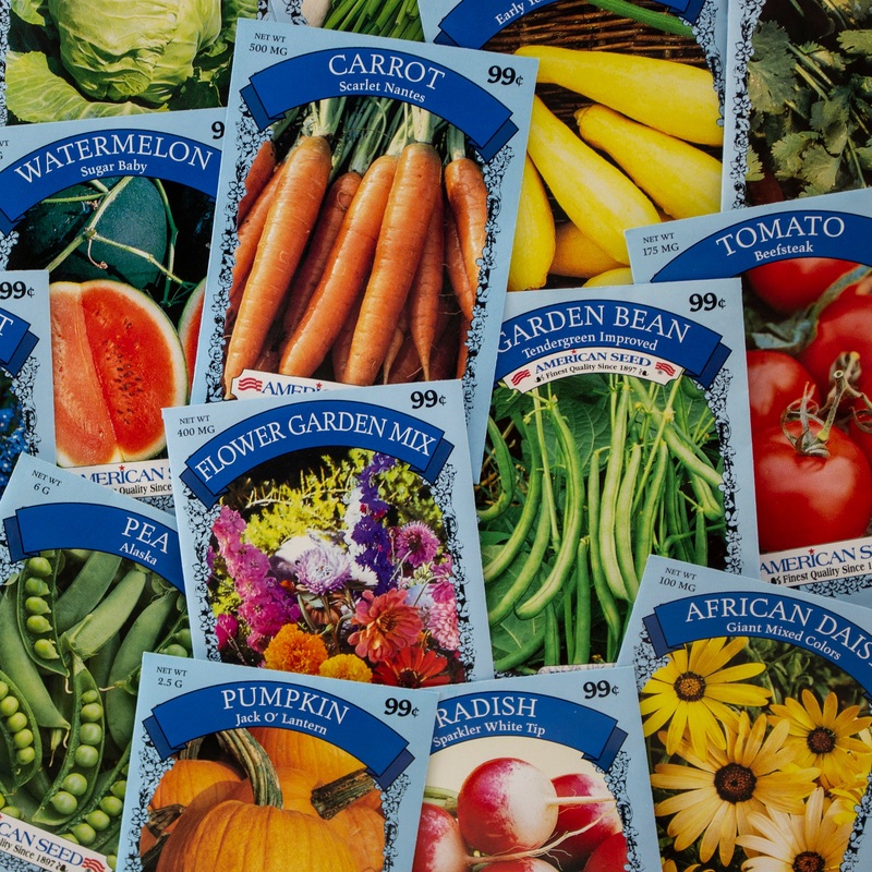 Surprise Assorted Seed Packs