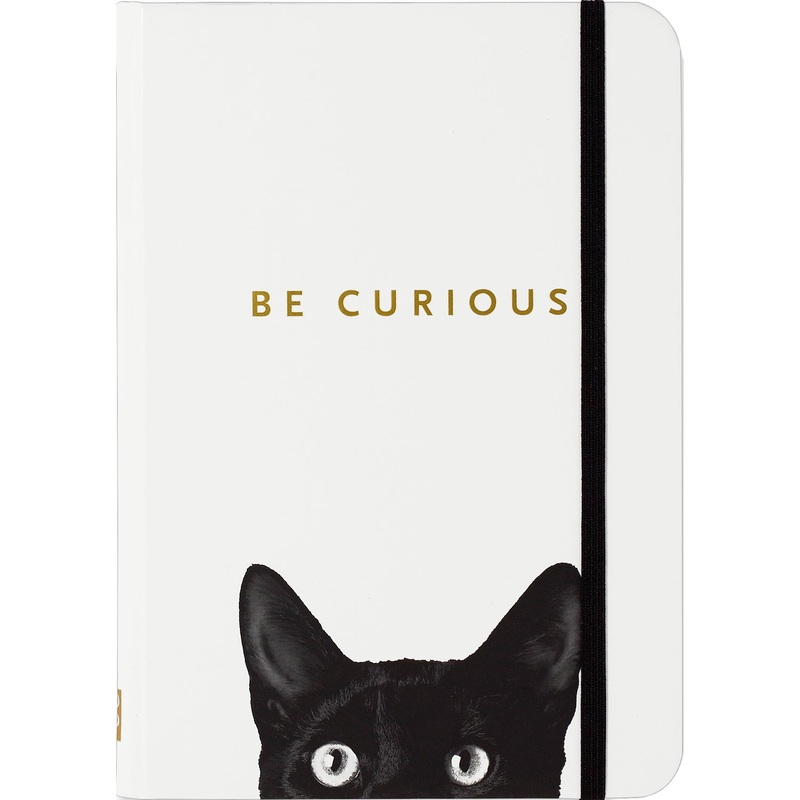 Be Curious Small Hardcover Lined Journal 328304