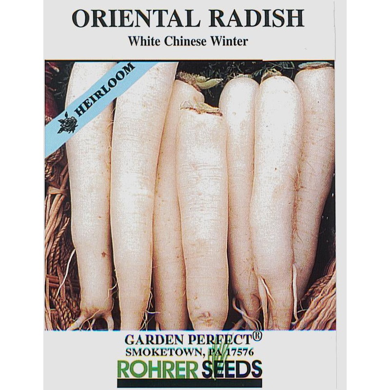 White Chinese Winter Radish Seed 9909500