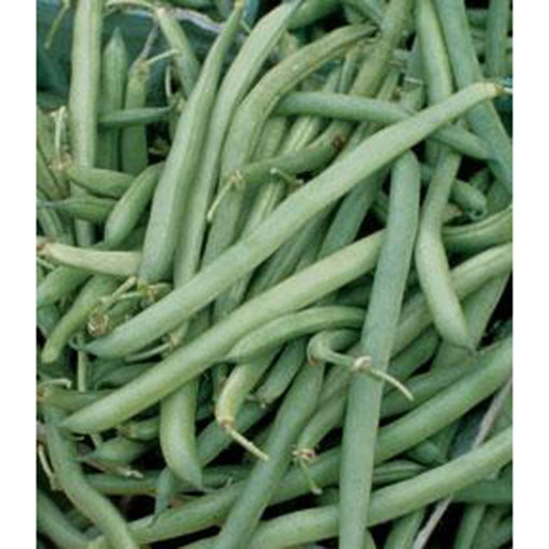 Slenderette Green Beans 9920202 1/2 lb
