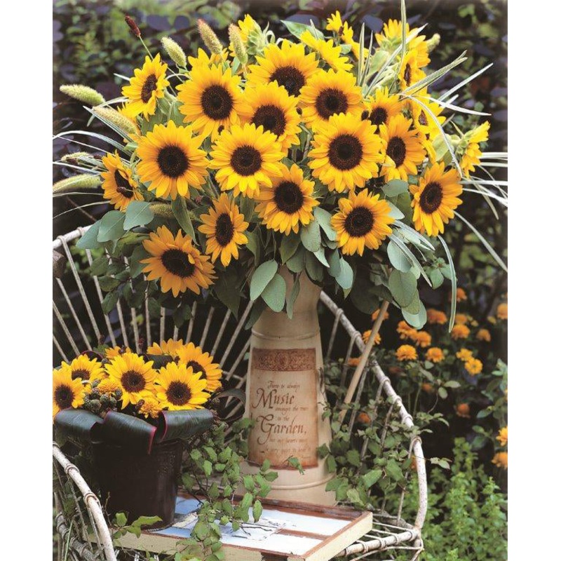 Sunrich Orange Sunflower Seeds 9936600