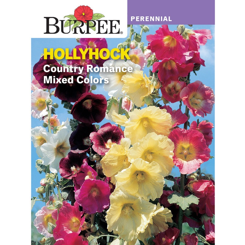 Country Romance Hollyhock Flower Seed Pack 32037
