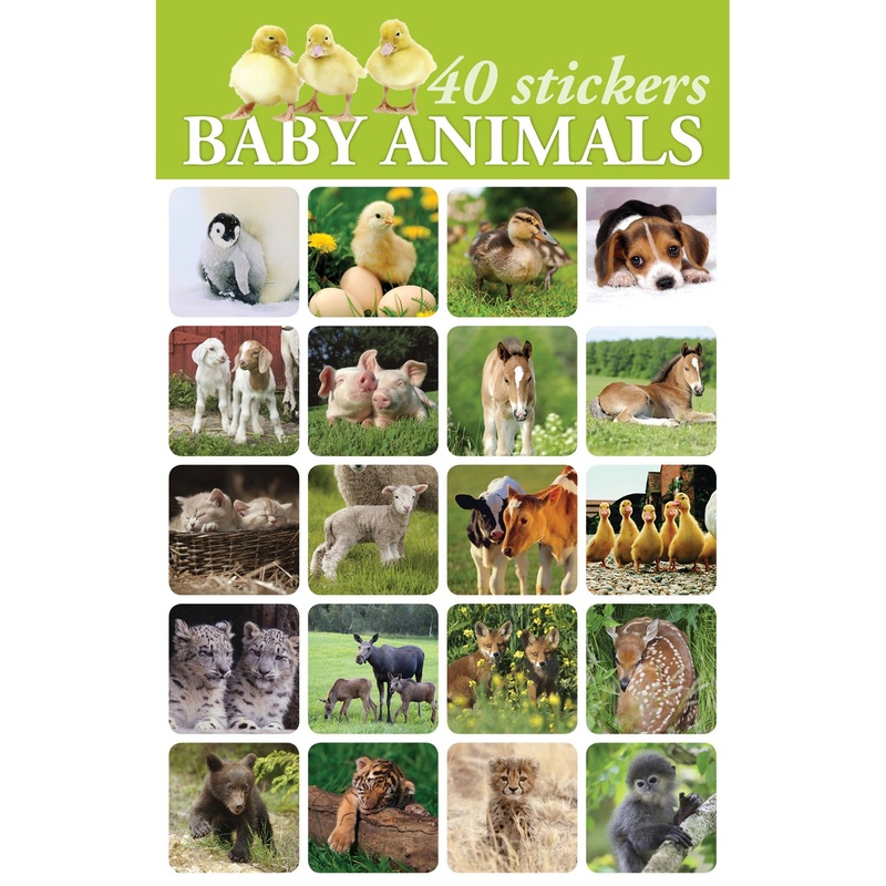 Baby Animals Stickers 2990